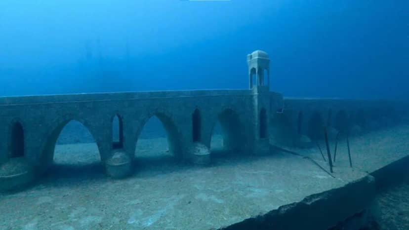 Saros Körfezi’ndeki yapay resifler, su altı canlılarının yaşam alanı oldu — 8. fotoğraf