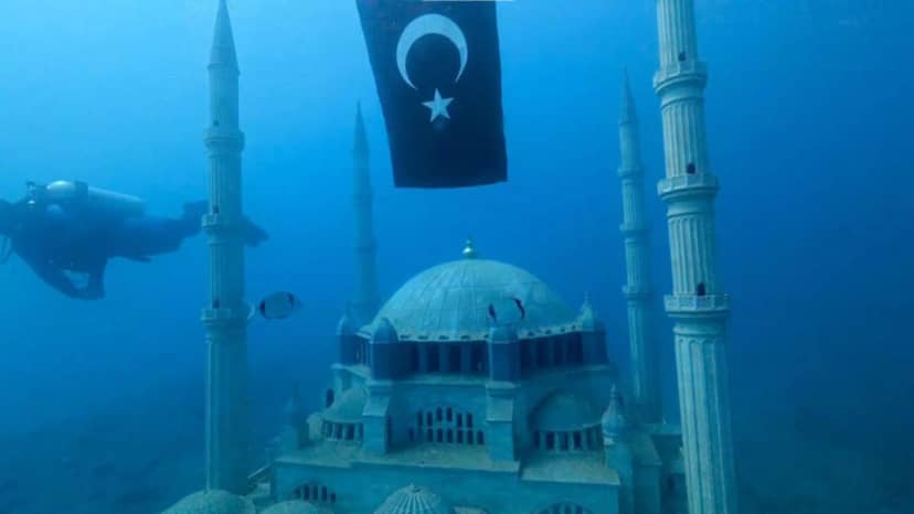 Saros Körfezi’ndeki yapay resifler, su altı canlılarının yaşam alanı oldu — 12. fotoğraf