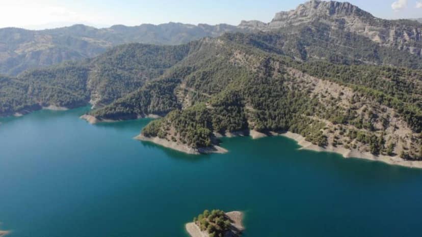 Yangının elektrik hattından kaynaklandığını belirten Cabaroğlu, olayla ilgili hukuki sürecin devam ettiğini ifade etti.