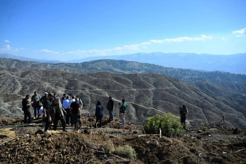 Kahramanmaraş'ta yangından etkilenen alana 1 milyondan fazla fidan dikilecek — 6. fotoğraf