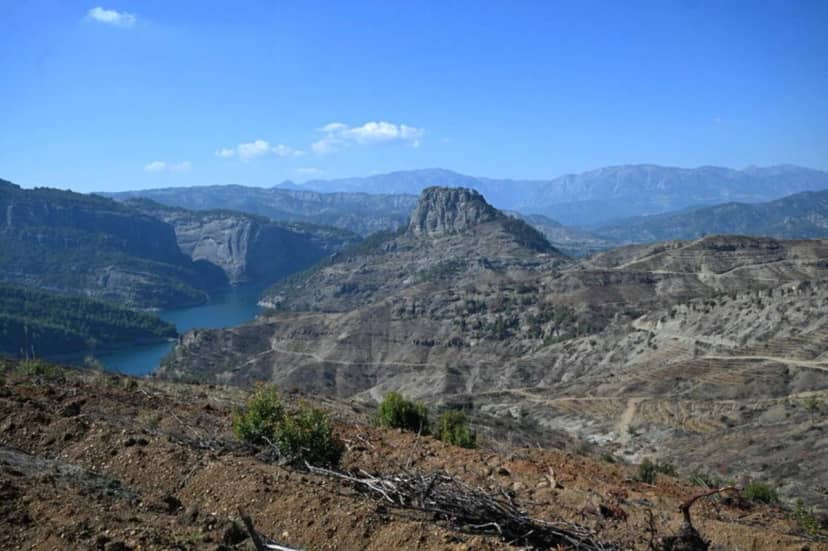 Kahramanmaraş'ta yangından etkilenen alana 1 milyondan fazla fidan dikilecek — 8. fotoğraf