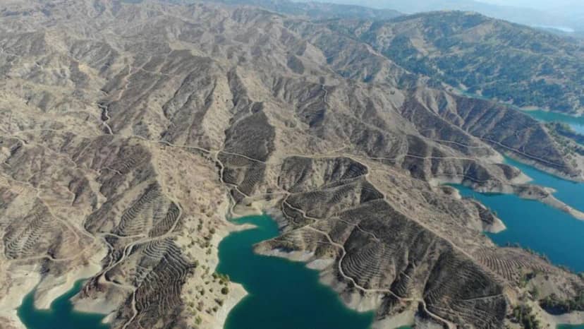 Kahramanmaraş'ta yangından etkilenen alana 1 milyondan fazla fidan dikilecek — 10. fotoğraf