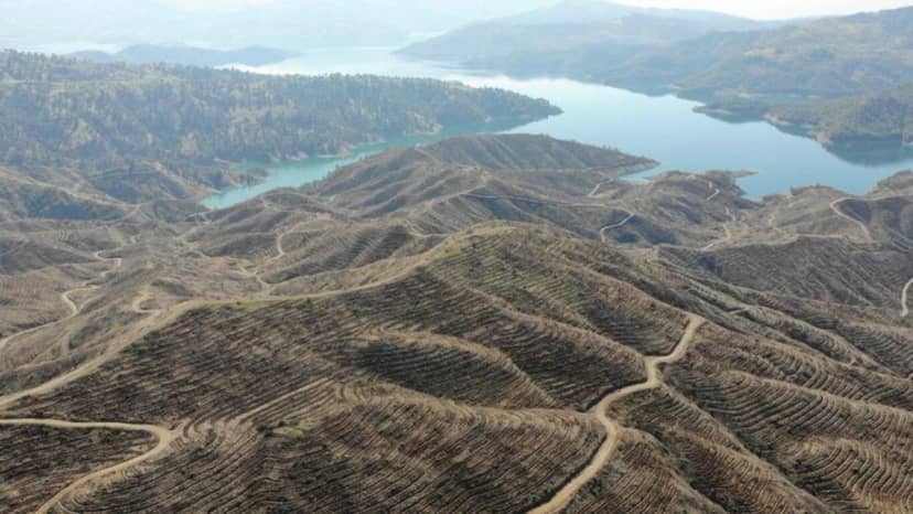 Kahramanmaraş'ta yangından etkilenen alana 1 milyondan fazla fidan dikilecek — 11. fotoğraf