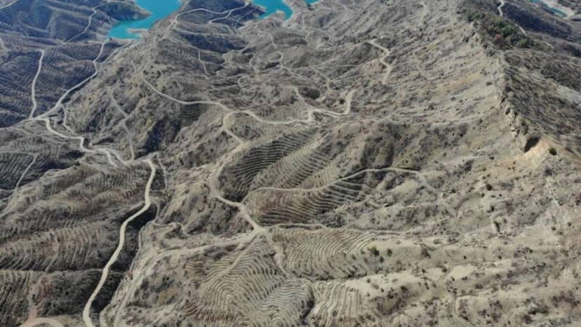 Kahramanmaraş'ta yangından etkilenen alana 1 milyondan fazla fidan dikilecek — 12. fotoğraf