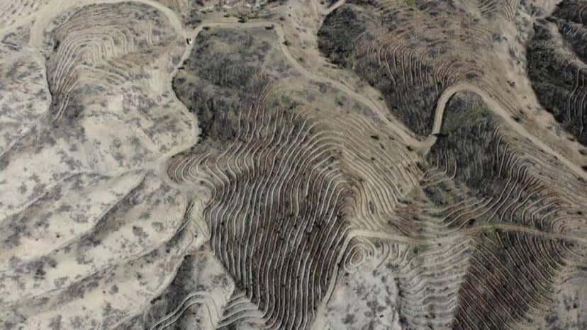 Kahramanmaraş'ta yangından etkilenen alana 1 milyondan fazla fidan dikilecek — 13. fotoğraf
