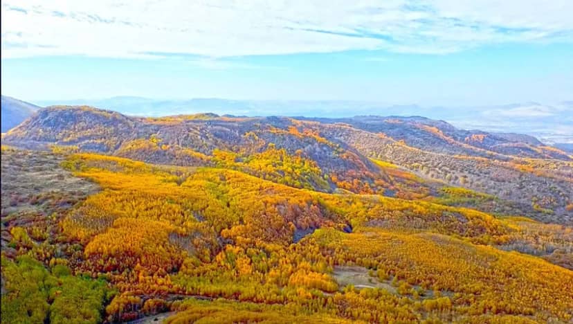 Doğa adeta şov yaptı: Dağın eteklerindeki dev ormanda sonbahar masalı — 14. fotoğraf