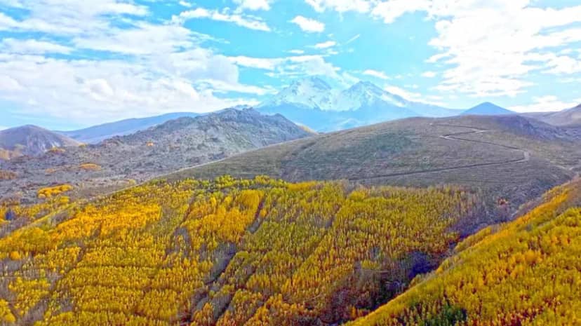 Doğa adeta şov yaptı: Dağın eteklerindeki dev ormanda sonbahar masalı — 11. fotoğraf