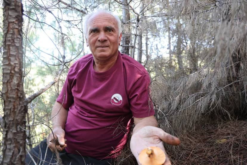 Yağmur bereketiyle geldi: Ormandan toplayıp kilosunu 300 liradan satıyorlar — 6. fotoğraf