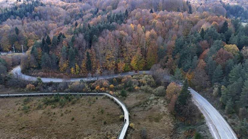 Güneşli havayı fırsat bilen kendini doğaya attı! Sonbahar manzarası büyüledi — 8. fotoğraf