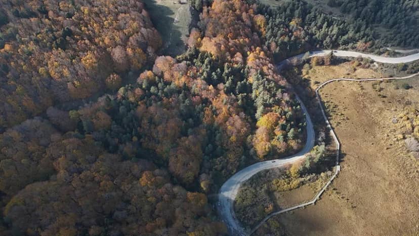 Güneşli havayı fırsat bilen kendini doğaya attı! Sonbahar manzarası büyüledi — 6. fotoğraf