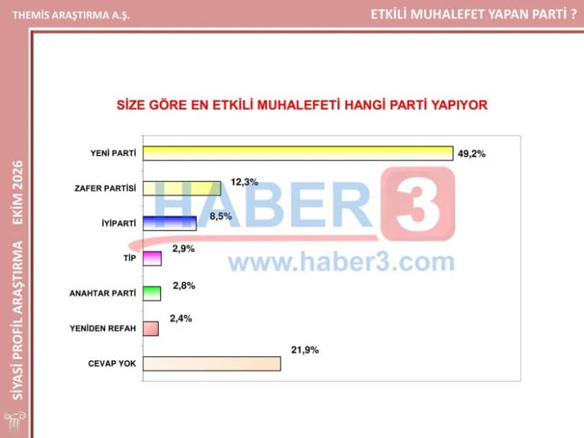 Themis Araştırma son anket sonuçlarını açıkladı; bu anket tüm ezberleri bozacak! — 11. fotoğraf