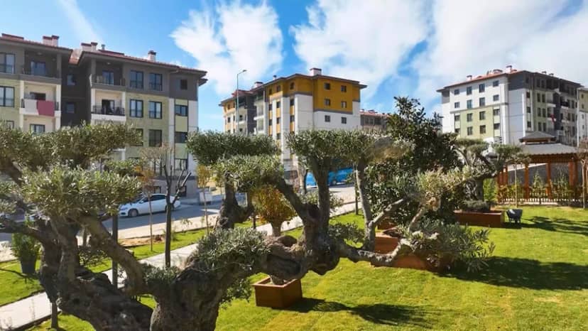 Türkiye'nin deprem konutları ABD'de gündem oldu: ''Saatte 23, günde 550 konut'' — 5. fotoğraf