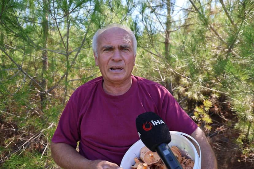 Yağmur bereketiyle geldi: Ormandan toplayıp kilosunu 300 liradan satıyorlar — 3. fotoğraf
