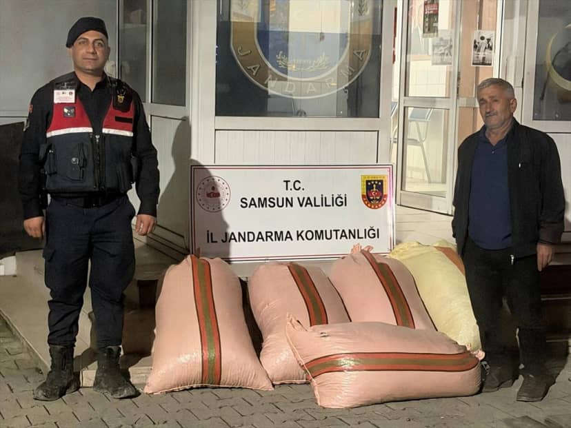 Samsun Çarşamba'da fındıkta dolandırıcılık iddiasıyla 2 şüpheli gözaltına alındı