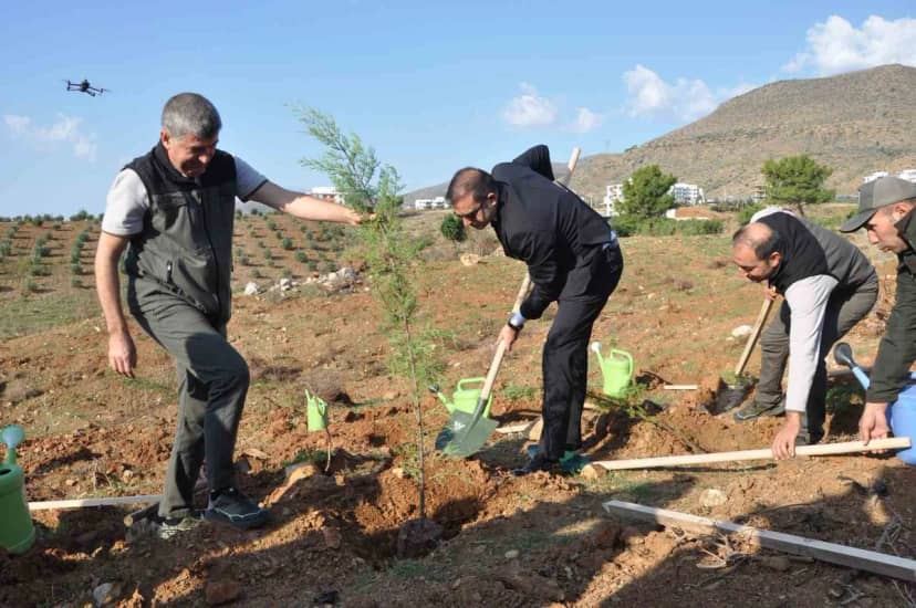 Silifke’de Şehit Savcı Mehmet Selim Kiraz Hatıra Ormanı yeniden yeşilleniyor