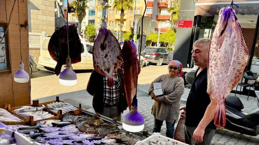 Sinop Türkeli'de bol avlanan kalkan, kilogramı 1000-1250 liradan satışa sunuldu