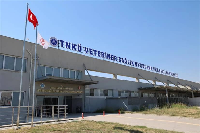2023'te açılan NKÜ Hayvan Hastanesi öğrencilere uygulamalı eğitim sağlıyor