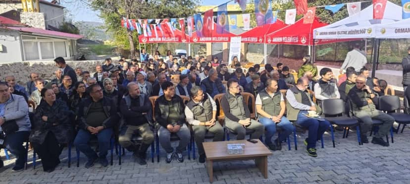 Kilosu 3 liraya toplanıyor, işlenince 10 bin lira oluyor! ‘Yeşil altın’ bölgeyi şaha kaldıracak