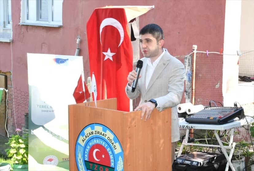 Samsun Alaçam'da zeytin hasadı etkinliği düzenlendi, 5 bin fidan dağıtımı planlanıyor