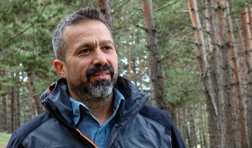 Bozayılar kış uykusu için yaklaşık 250 kilometre göçle Sarıkamış'a dönüyor