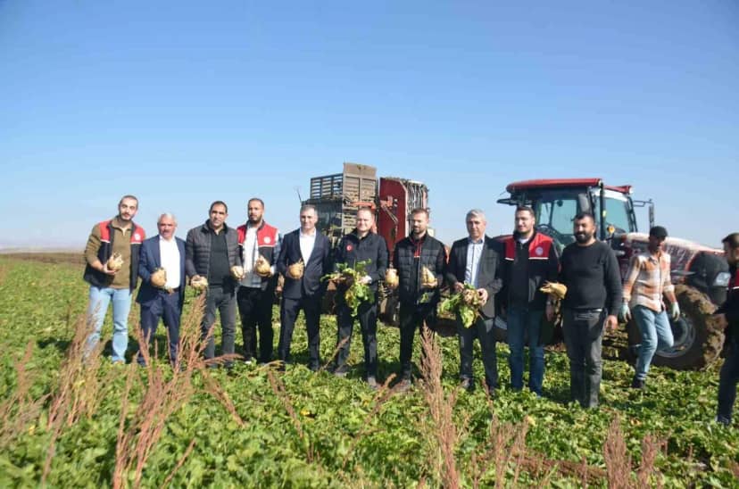 Bulanık Kaymakamı Koşansu, 15 bin dekar alanda süren pancar hasadına katıldı