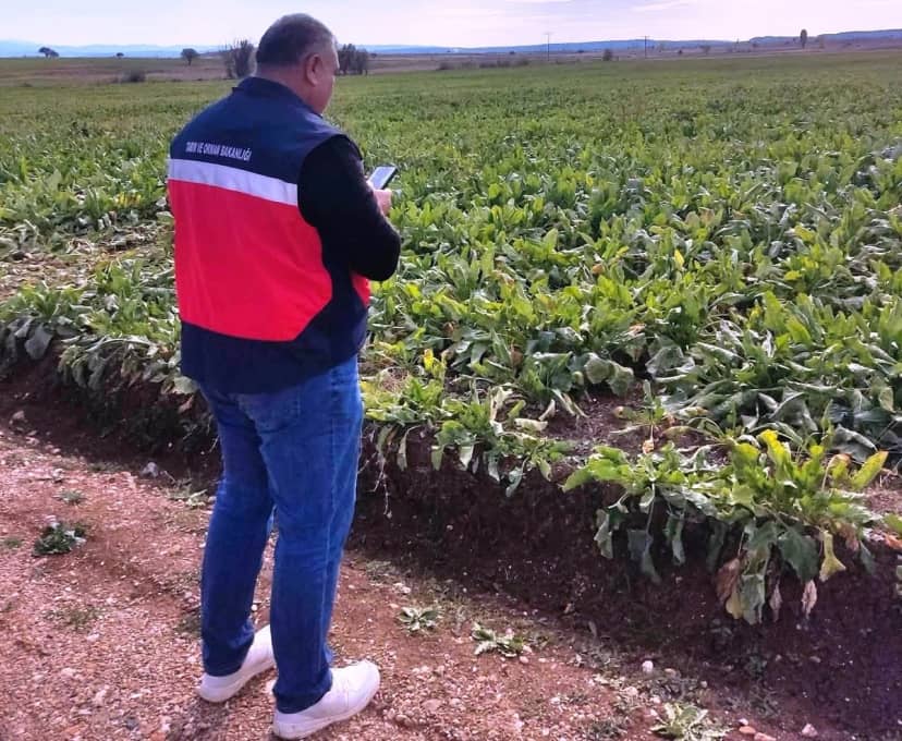 Çavdarhisar'da İlçe Tarım ekipleri üç köyde ürün beyan doğrulaması yapıyor