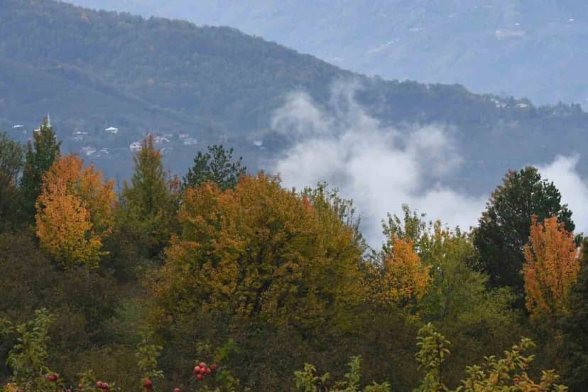 Sakarya Hendek'teki Dikmen Yaylası sonbahar renkleriyle görsel şölen sundu