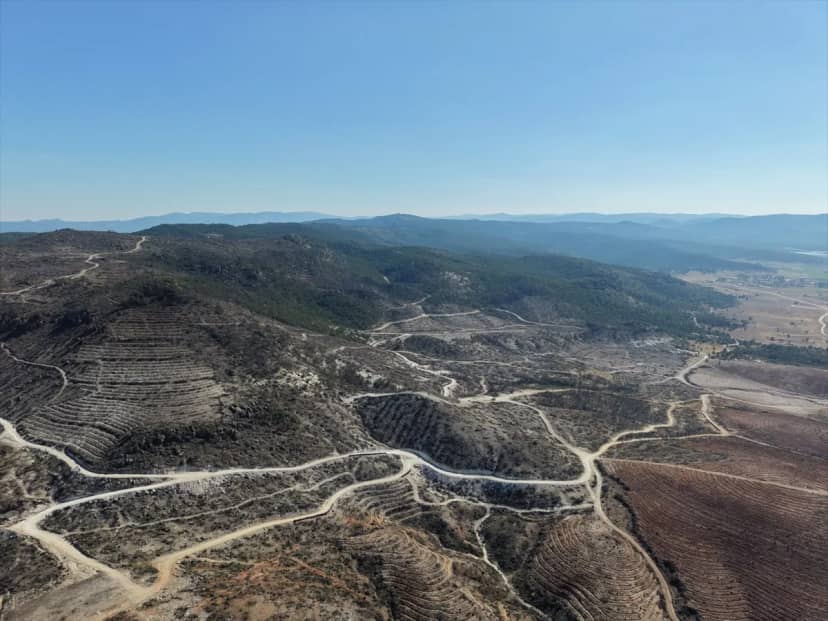 Afyonkarahisar'da Eber Gölü'nde yangın sonrası yaban hayatı fotokapanla izleniyor