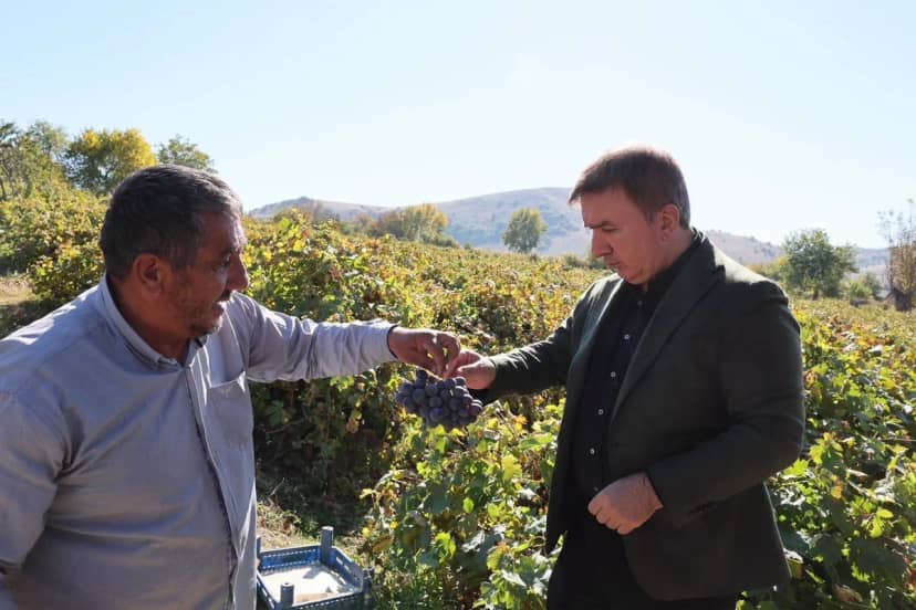 Erzincan Valisi Aydoğdu, Pişkidağ'da üzüm hasadı yapan üreticiyi ziyaret etti