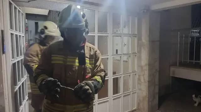 İskenderun’da yerleşim yerinde görülen yılan yakalanarak doğaya bırakıldı 1