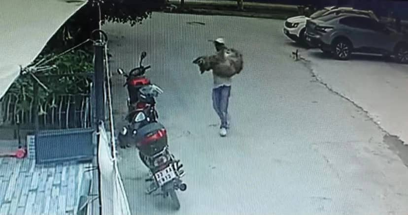 Silifke'de otomobille ezilen köpek Kanka kurtarılamadı! Araçtan inen 3 kişi olay yerinden uzaklaştı