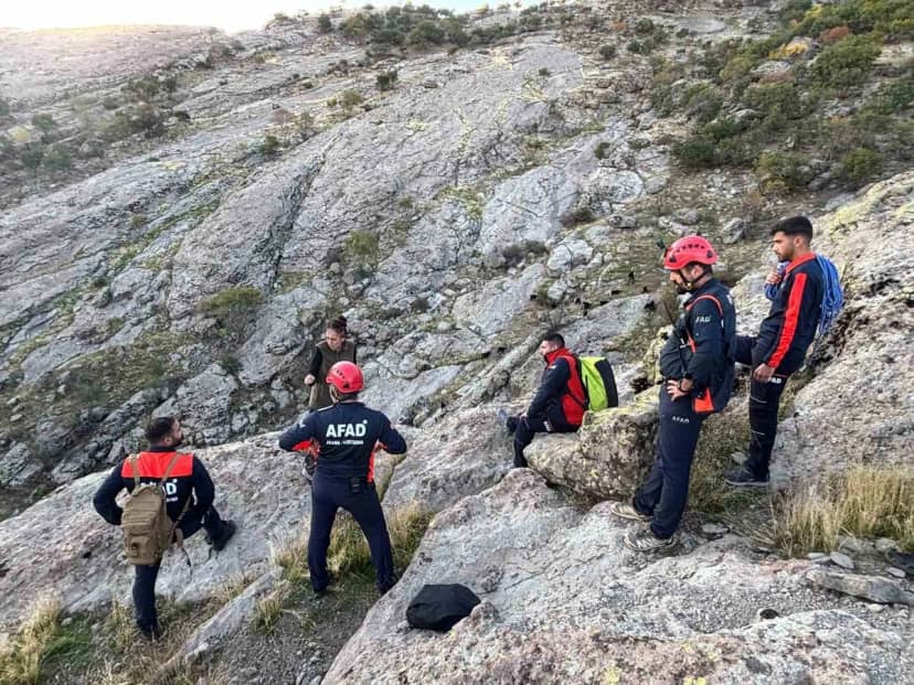 Tunceli'de sarp kayalıklarda günlerdir mahsur kalan keçileri AFAD kurtardı
