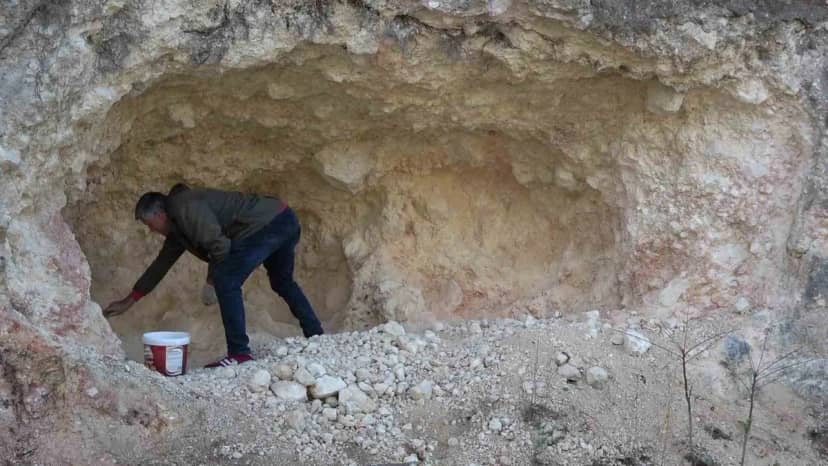 Amasya'da pekmez için dağları oyan köylüler kadın erkek birlikte üretiyor