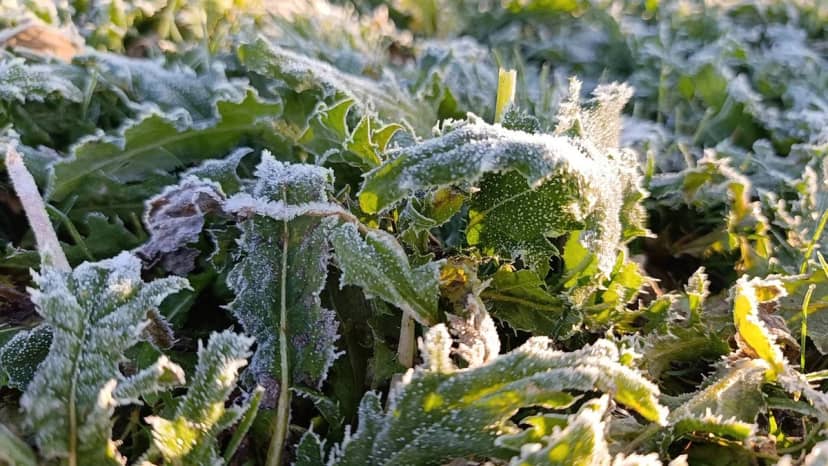 Termometreler eksi 6 derece! Araçların camı buz tuttu, her an kar yağabilir