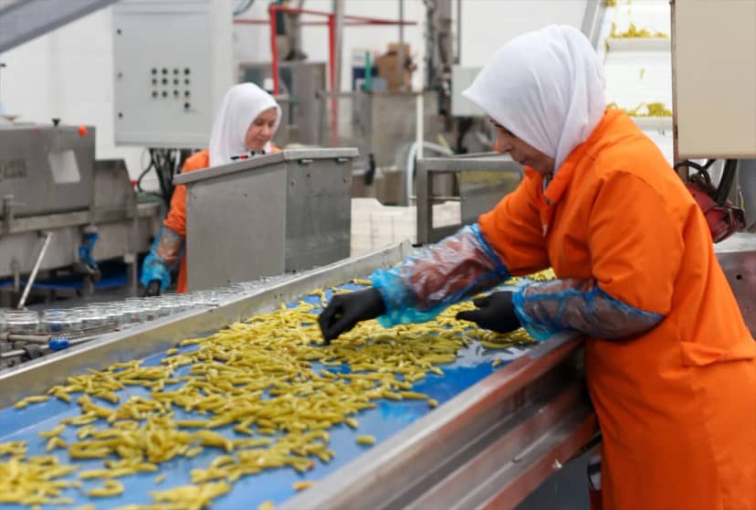 Türkiye, turşu ihracatından 9 ayda 301 milyon 675 bin dolar gelir elde etti