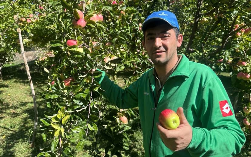 6 ay bozulmuyor! Sadece Sivas’ta yetişiyor, aromasıyla damak çatlatıyor