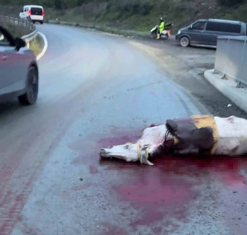 Arnavutköy'de otomobil ata çarptı, kopan bacak araca saplandı, 3 kişi yaralandı