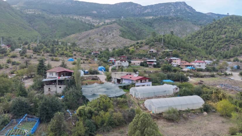 İlçede ilk kez o ekti, kilosunu 500 liraya satıyor! Görenler Dağdan mı buldun? diye şaşırıyor