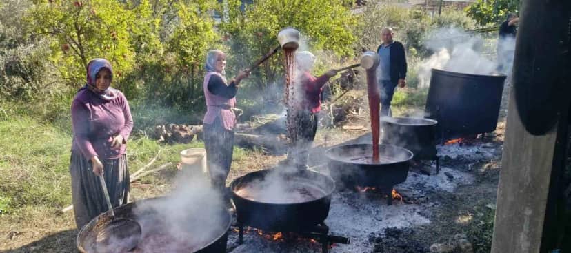 Silifke'de nar hasadı başladı, nar ekşisi kadınların emeğiyle üretiliyor
