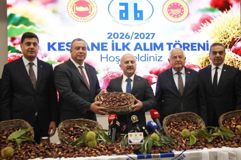 Aydın'da sezonun ilk kestaneleri 16 üreticiden kilogramı 600 TL'den alındı