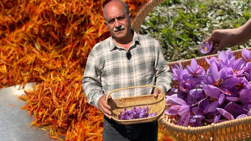Esnaflığı bıraktı, hasat için gün doğmadan yola koyuluyor! Kilosu 1 milyon lira