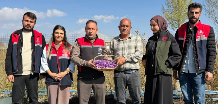Esnaflığı bıraktı, hasat için gün doğmadan yola koyuluyor! Kilosu 1 milyon lira