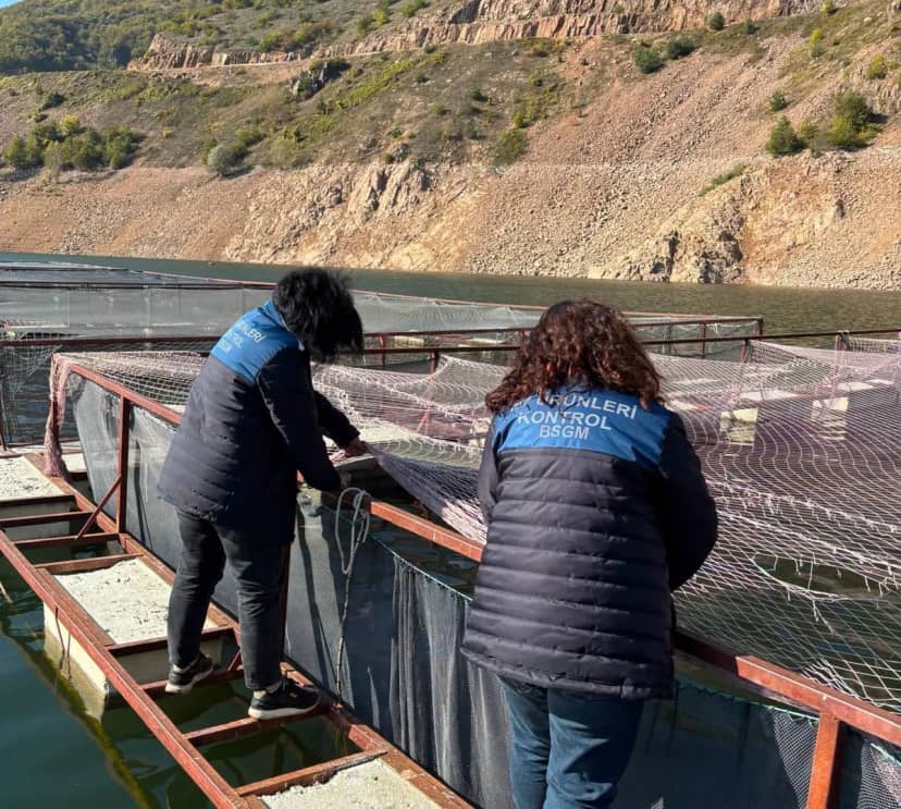 Ordu Mesudiye'de alabalık tesisleri denetlendi, 100-400 gramlıklar kasımda nakledilecek
