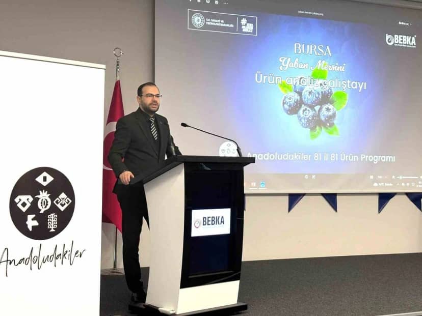 BEBKA çalıştayının çıktıları Bursa yaban mersinine yol haritası olacak