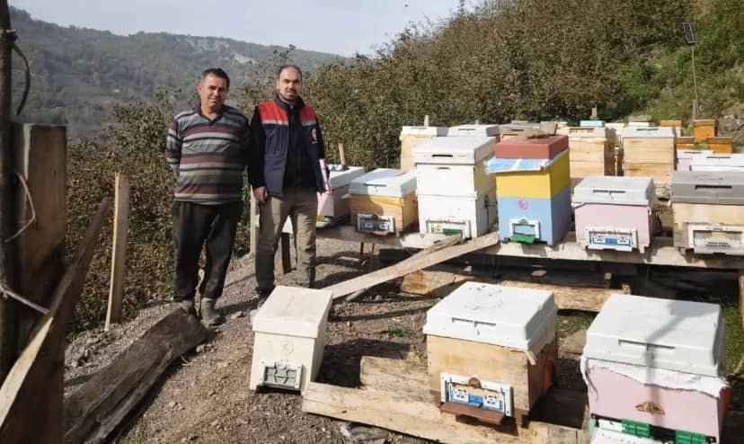 Düzce Yığılca'da Kırık, Gelenöz, Mengen ve Yaylatepe'de arılı kovan sayımı yapıldı