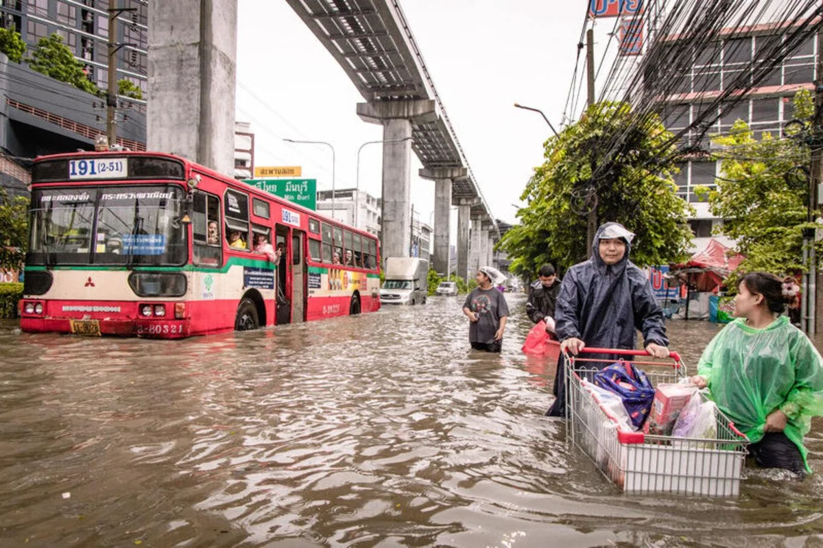 Tayland'ın başkenti Bangkok'ta sel 700 bin kişiyi etkiledi — 12. fotoğraf