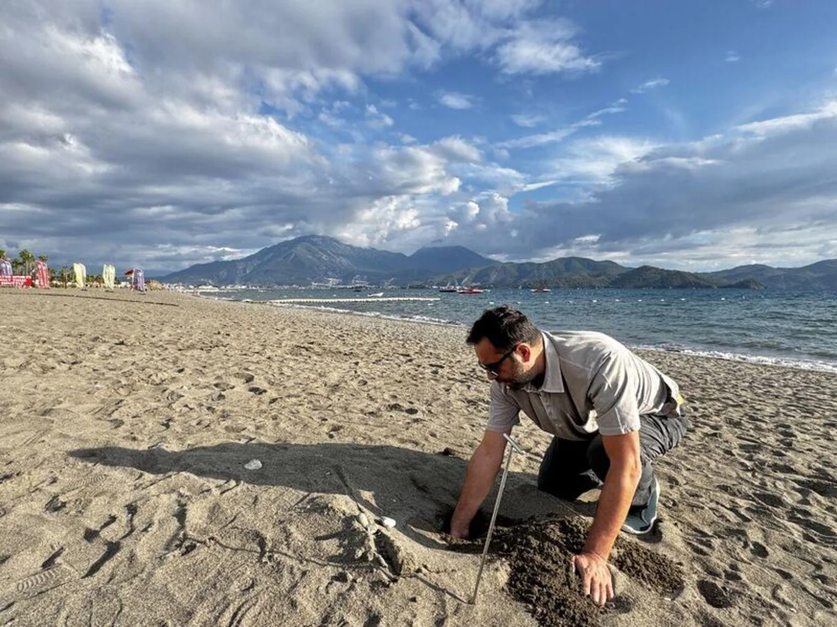 Fethiye'de yaklaşık 6 bin caretta caretta yavrusu denizle buluştu — 3. fotoğraf