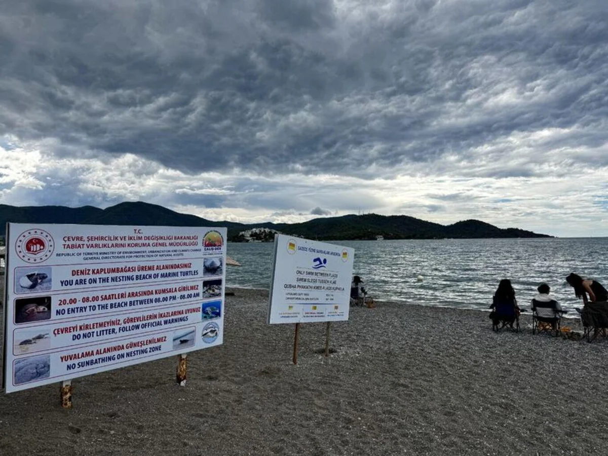 Fethiye'de yaklaşık 6 bin caretta caretta yavrusu denizle buluştu — 5. fotoğraf