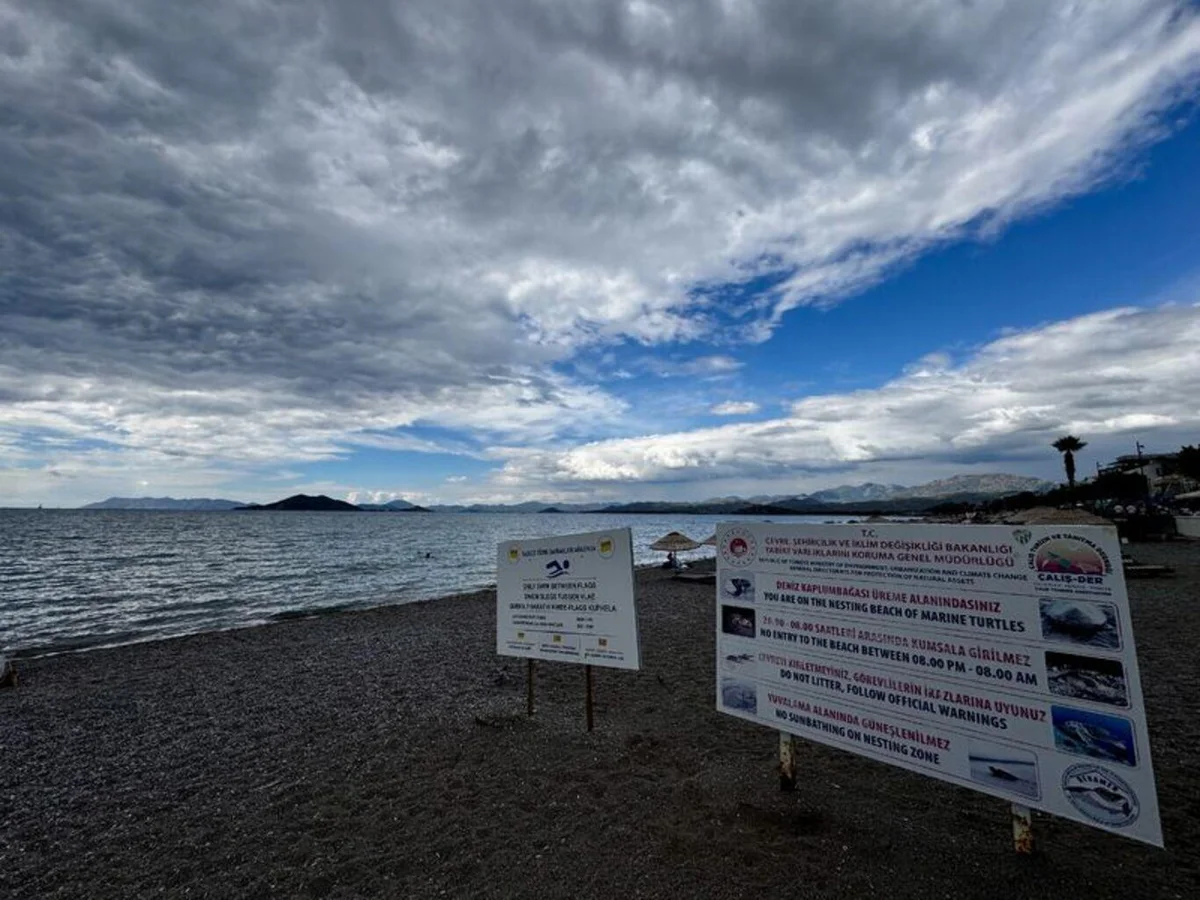 Fethiye'de yaklaşık 6 bin caretta caretta yavrusu denizle buluştu — 10. fotoğraf