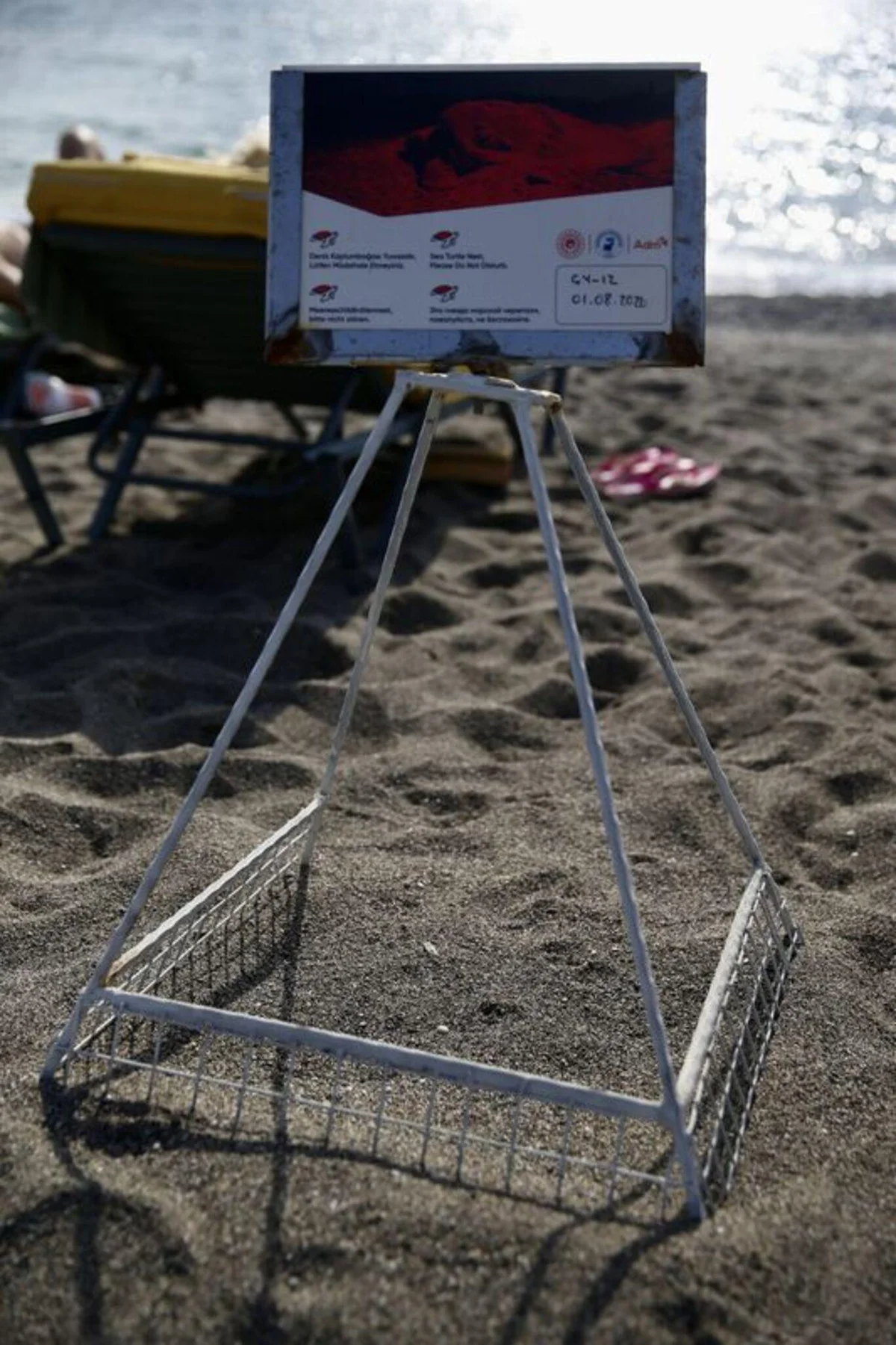 Fethiye'de yaklaşık 6 bin caretta caretta yavrusu denizle buluştu — 11. fotoğraf